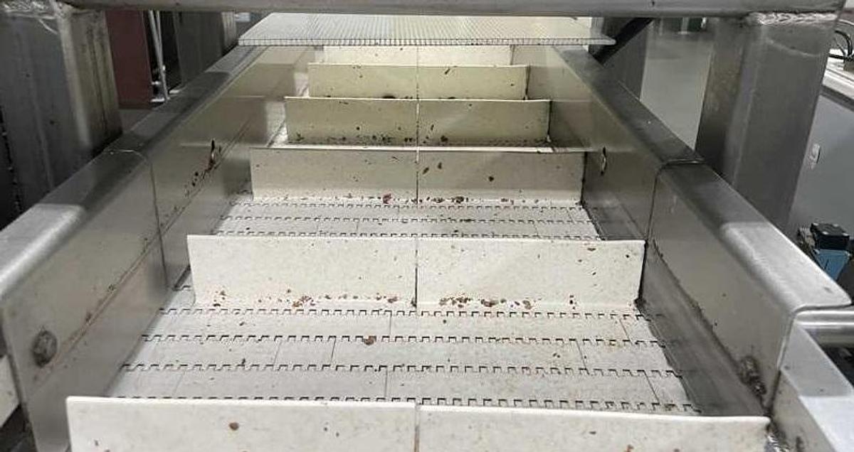 Used Heat and Control Frying Line, with Tunnel and Seasoner