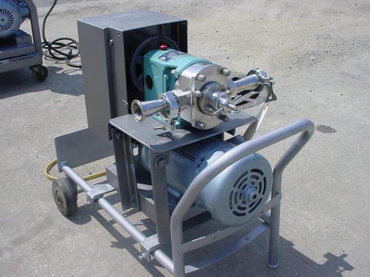 Used Werner 1-1/4″ X 1-1/4″ Ss Positive Displacement Pump, Portable