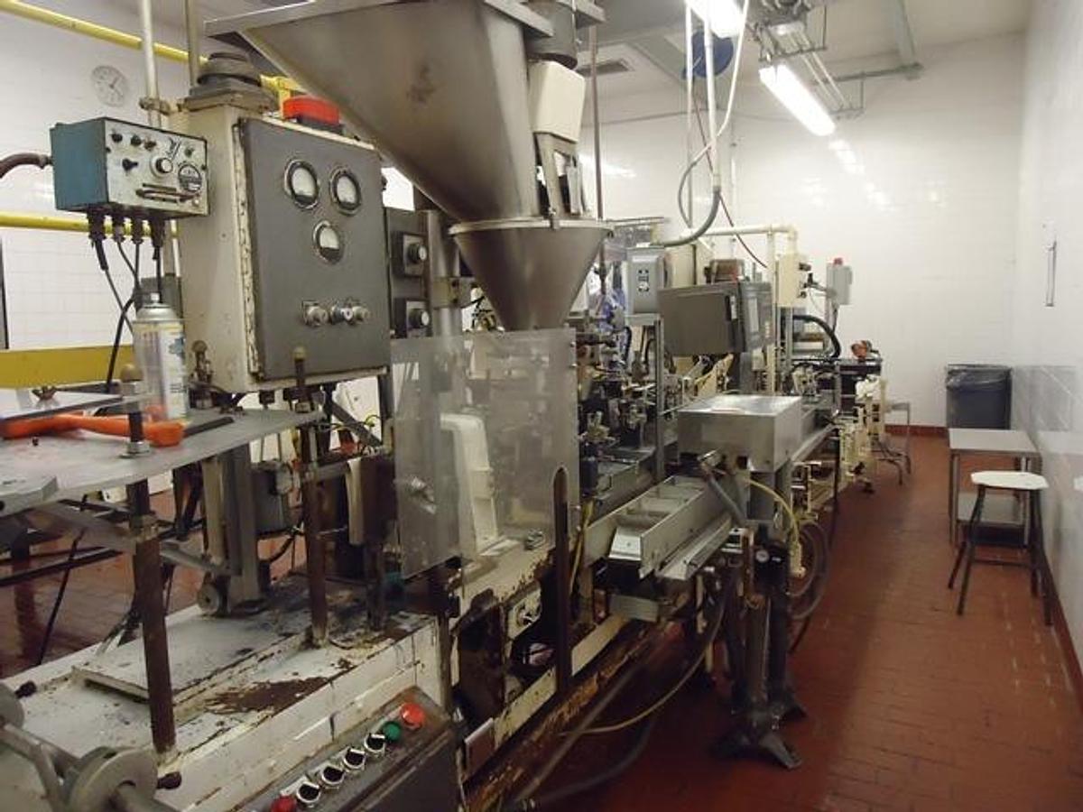 Used Bartelt IM-6 Horizontal Pouch Packager With Hot Melt Cartoner