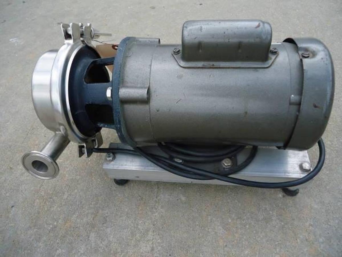 Used Jw Lesser 1-1/2 In. Stainless Sanitary Centrifugal Pump, Single Phase