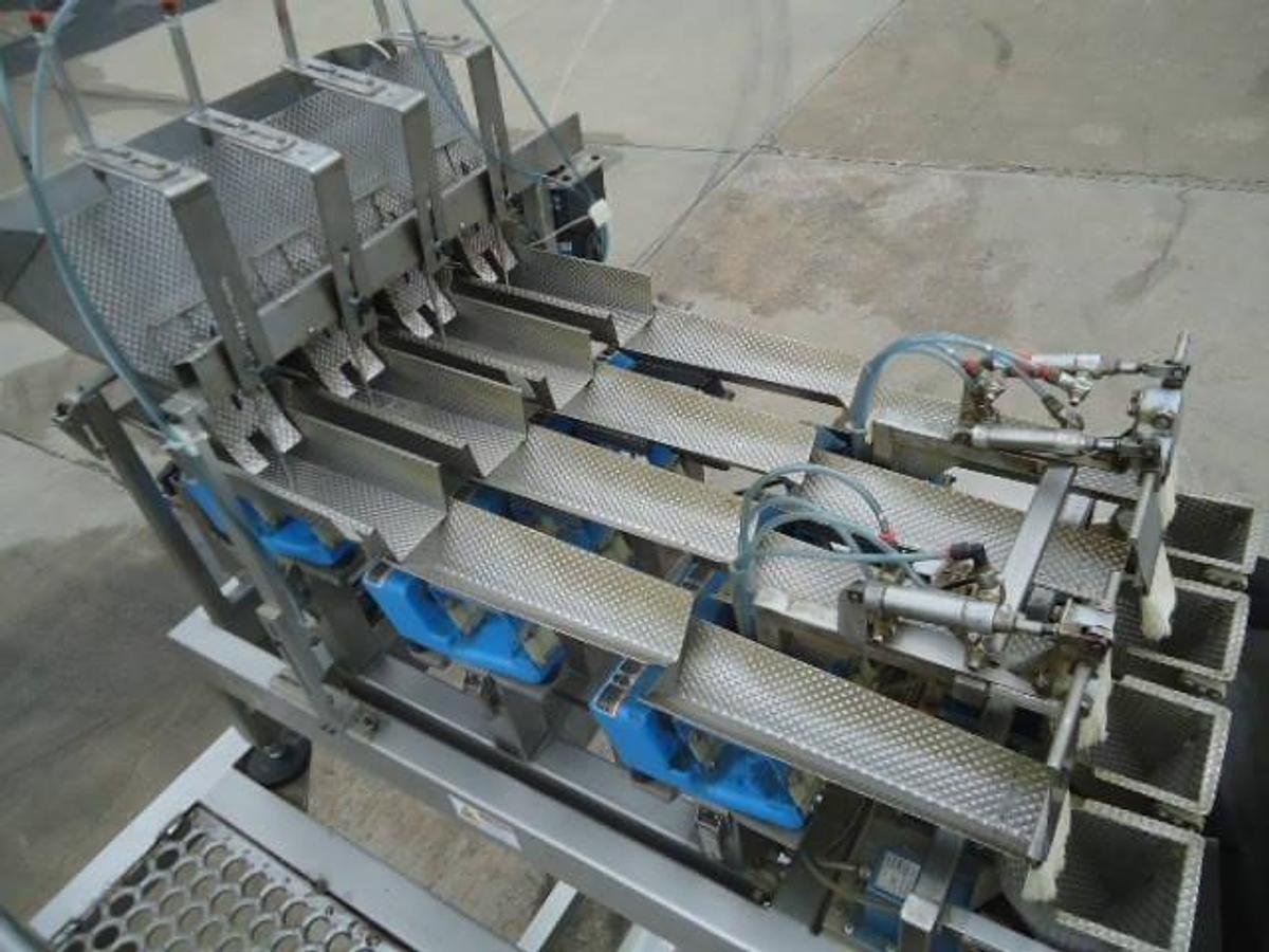 Used Weigh Pack/Paxiom Vertek 750 Form/Fill/Seal With Scales