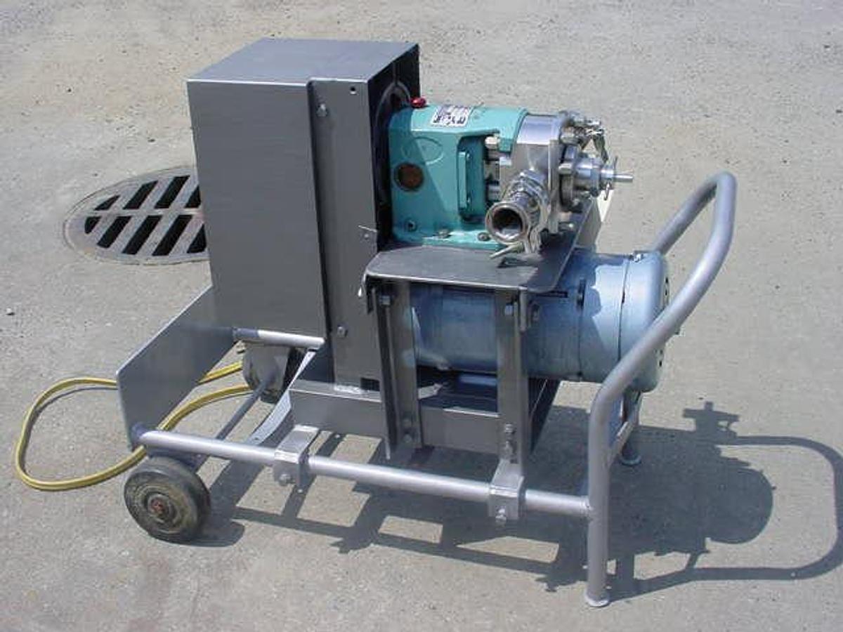 Used Werner 1-1/4″ X 1-1/4″ Ss Positive Displacement Pump, Portable