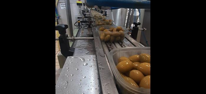 Used 2001 CAVECO  LC/1TV