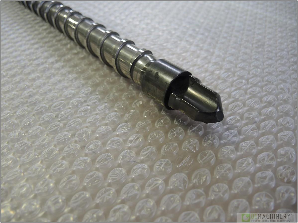 2010 VITE PLASTIFICAZIONE