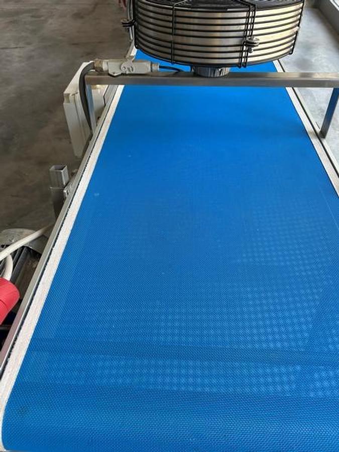 Usato linea pasta fresca ripiena pastorizzata