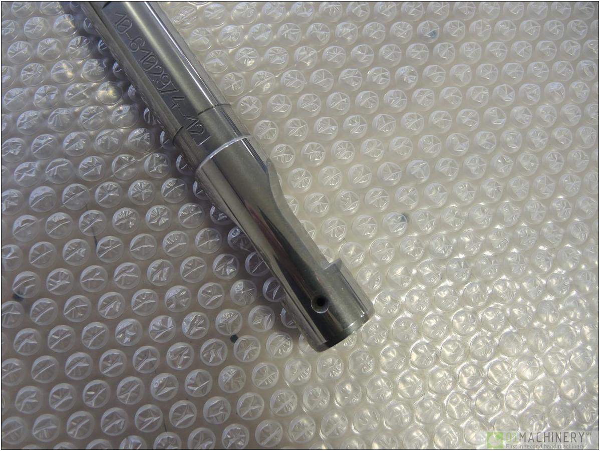 2010 VITE PLASTIFICAZIONE