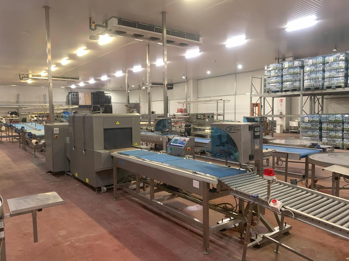 Usato 2015 ULMA LINEA DI CONFEZIONAMENTO ORTOFRUTTA