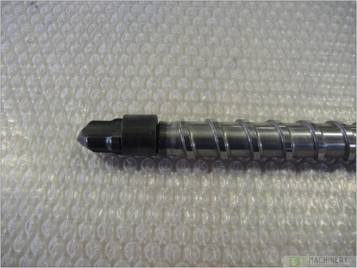 2010 VITE PLASTIFICAZIONE