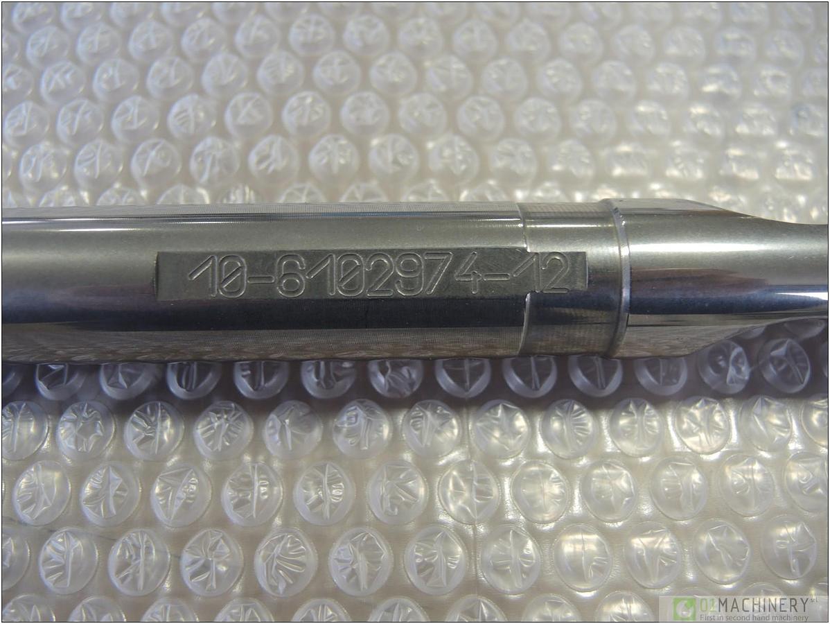 2010 VITE PLASTIFICAZIONE