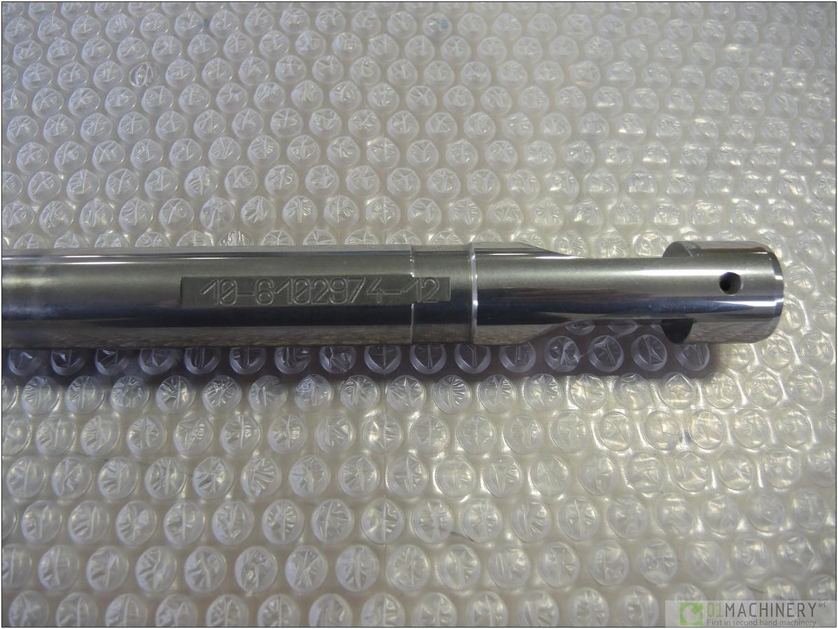 2010 VITE PLASTIFICAZIONE