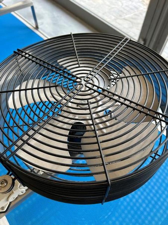 Usato linea pasta fresca ripiena pastorizzata