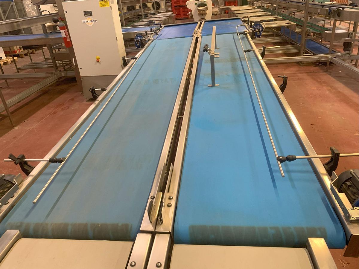 Usato 2015 ULMA LINEA DI CONFEZIONAMENTO ORTOFRUTTA