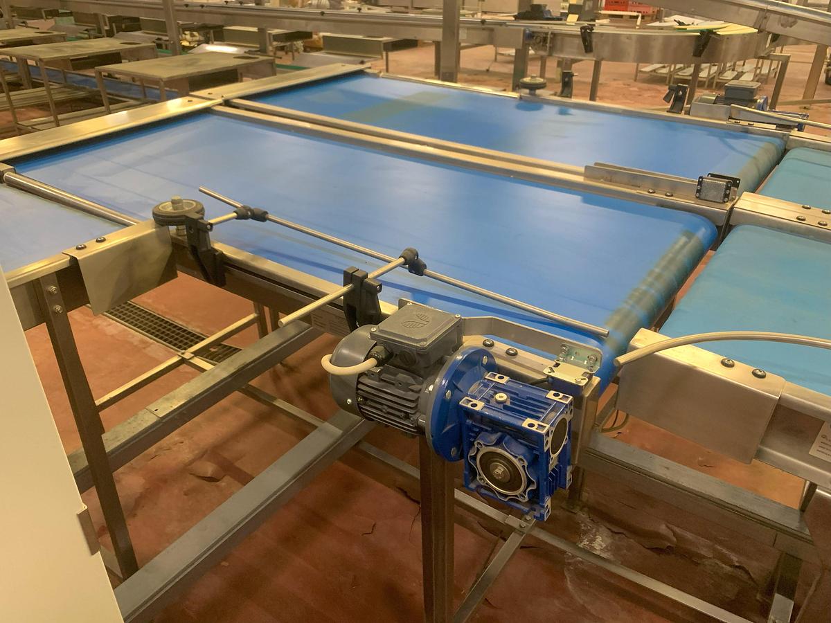 Usato 2015 ULMA LINEA DI CONFEZIONAMENTO ORTOFRUTTA