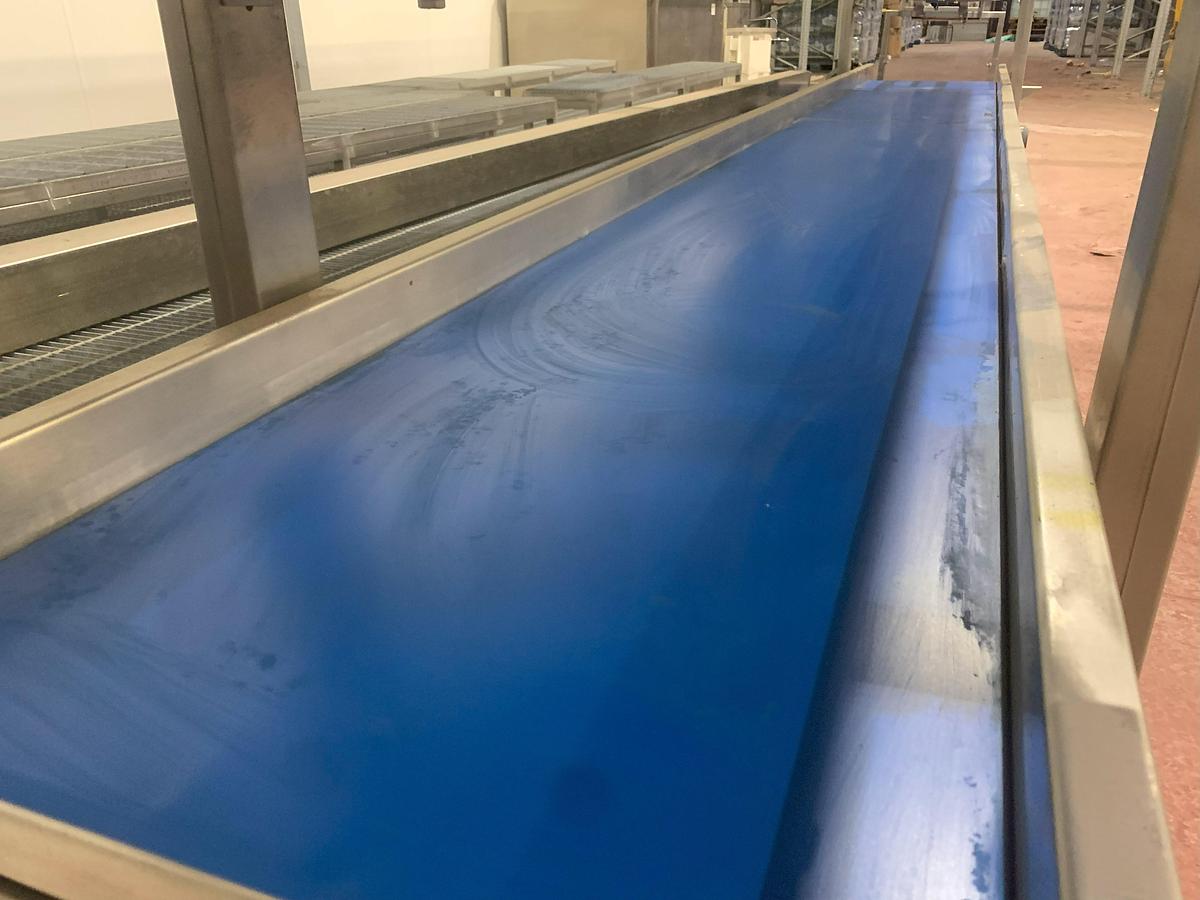 Usato 2015 TECNO GROUP LAB ALIMENTAT. LAVAGGIO AL0873