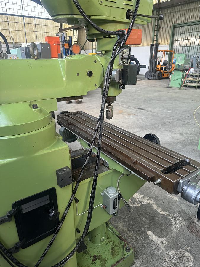 Usato John Ford Testa veloce