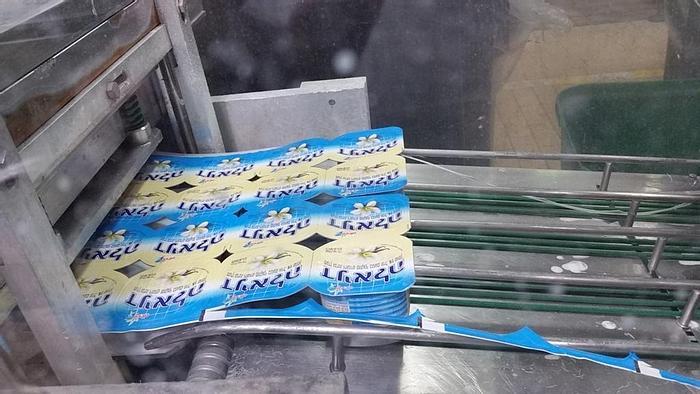 Used Filler, Form, Fill & Seal, ERCA, Model EF 320, #A741848