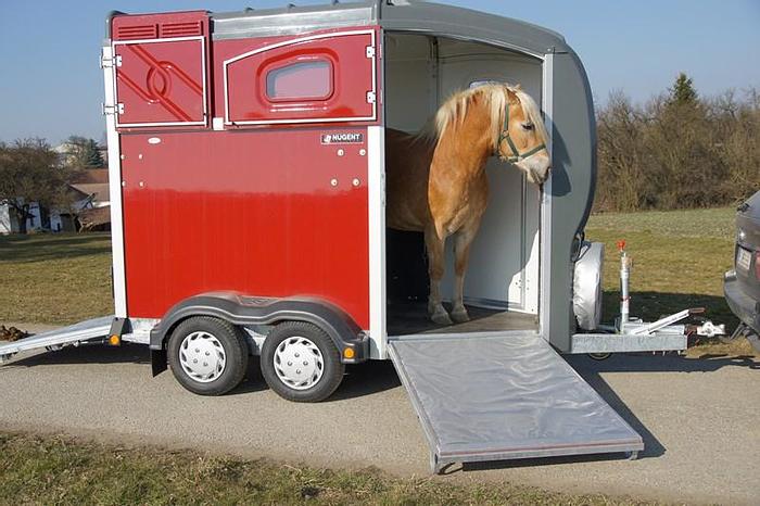 Gebraucht Nugent Spirit 20