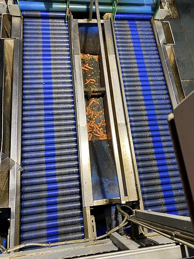 Used Stainless Steel Double Inspection conveyor with waste take-away conveyer