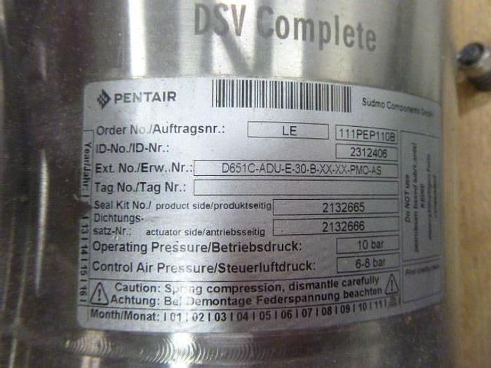 Used Pentair Double Seat Valves; DSV Complete; 3"