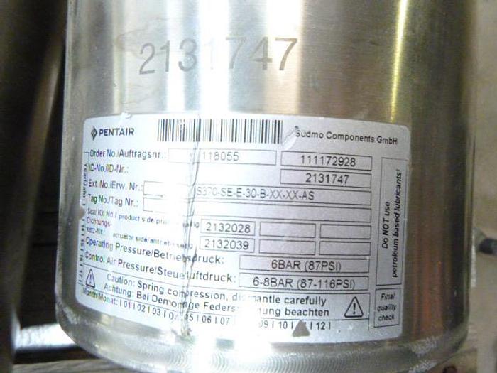 Used Pentair LE DUAL CHAMBER VALVES; 3"/2 WAY