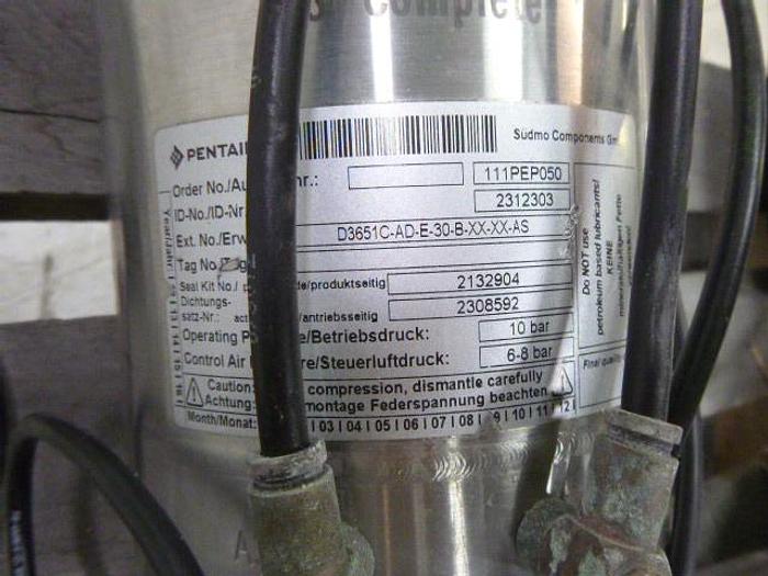 Used Pentair Dual Cavity Valve; 3"/2 Way