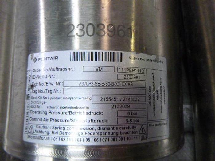 Used Pentair Dual Cavity Valve; 3"/2 Way