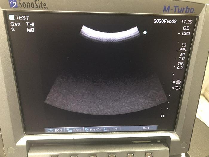 Gebraucht SonoSite M-turbo tragbare Ultraschallsystem auf Trolley mit 3xSonden