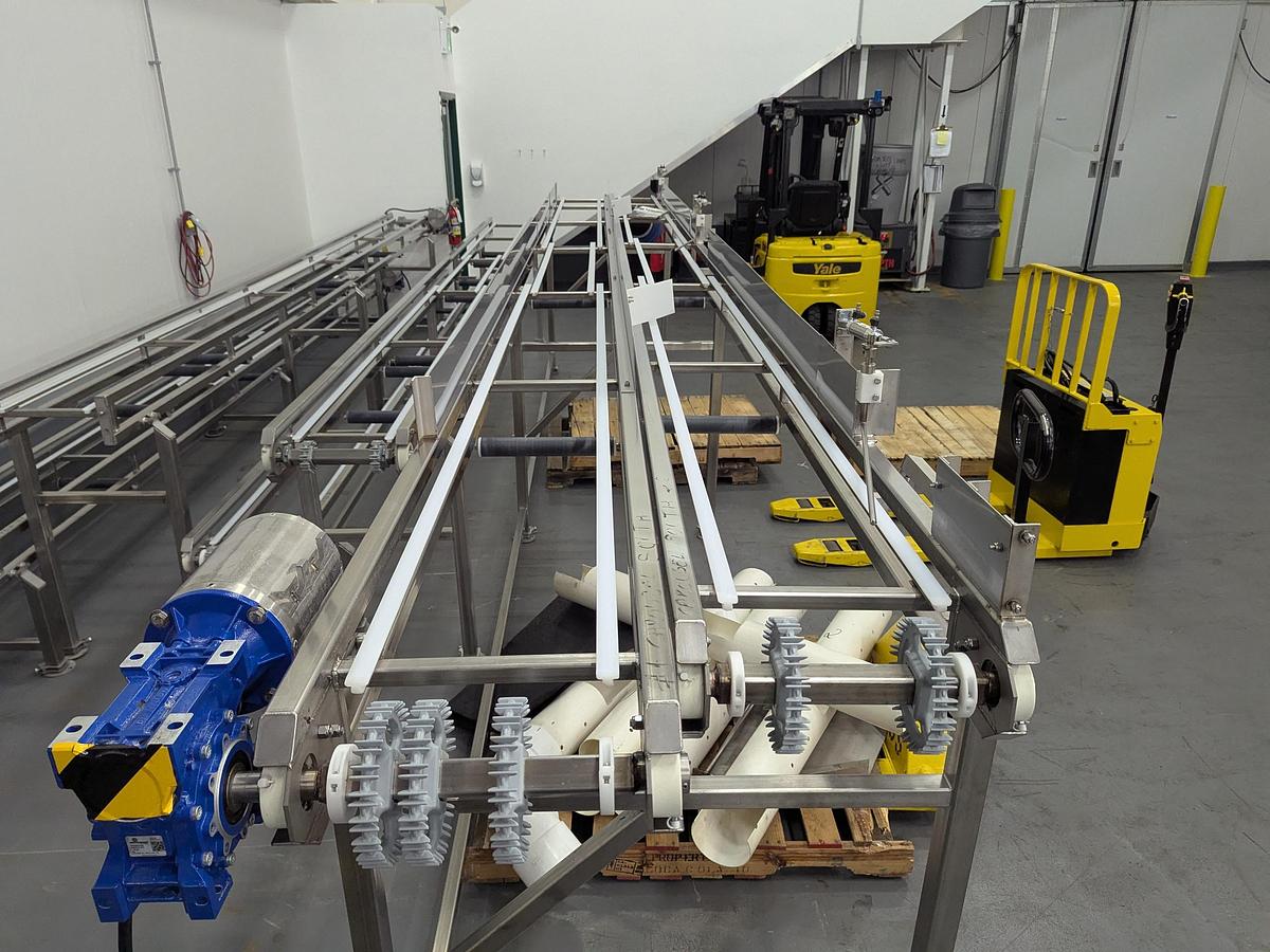 Used Apple Infeed Conveyor System