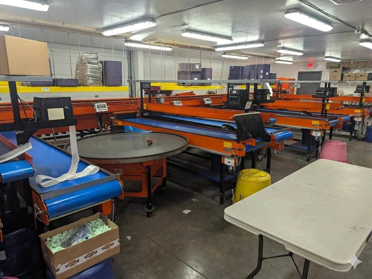 Used Van Wamel Tree Fruit Sorting and Packing Line