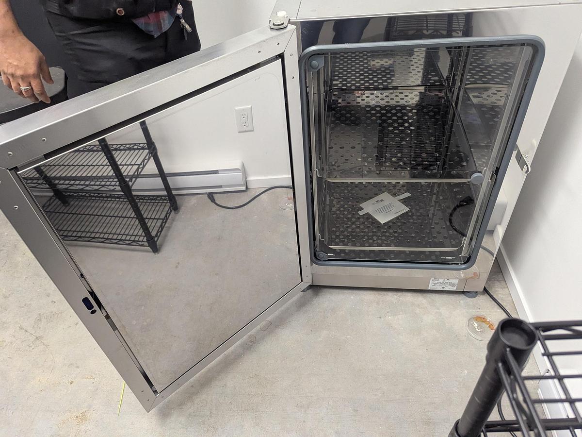 Used Thermo Scientific Fisherbrand Isotemp 180L Incubator