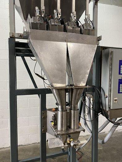 Used Actionpac 4-Lane Linear Netweigh Filler