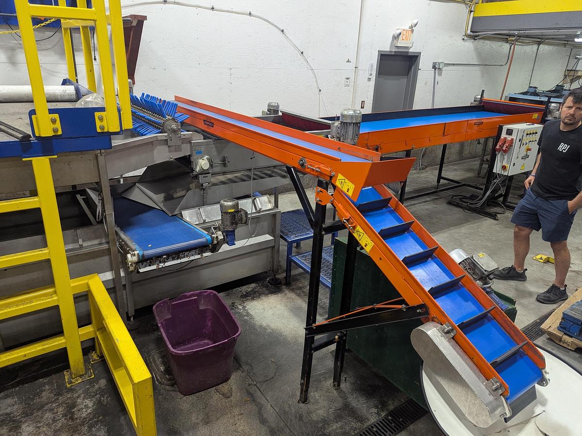 Used Van Wamel Tree Fruit Sorting and Packing Line