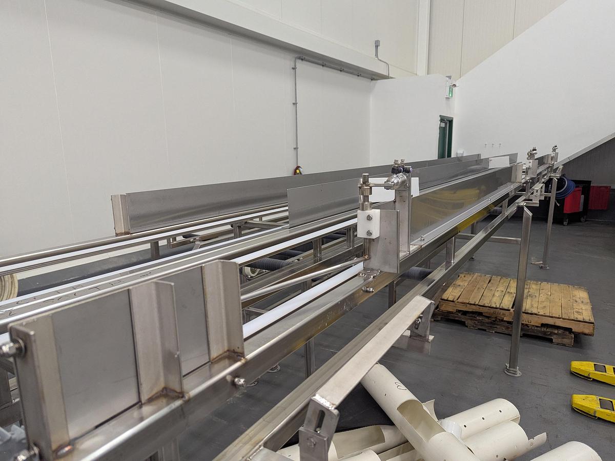 Used Apple Infeed Conveyor System