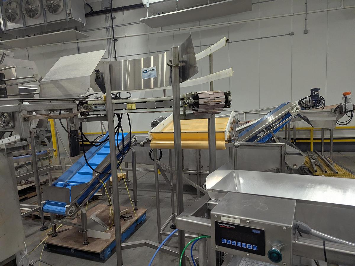 Used Andgar Tray Washer with Infeed & Outfeed Conveyors