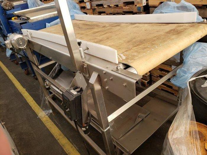 Used 7' Berry Inspection Conveyor