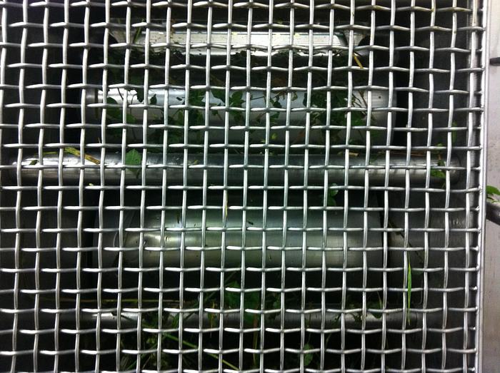 Used Wheatgrass Roller Juicer