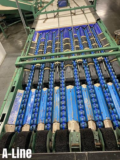 Used Blue Bird Pear Line