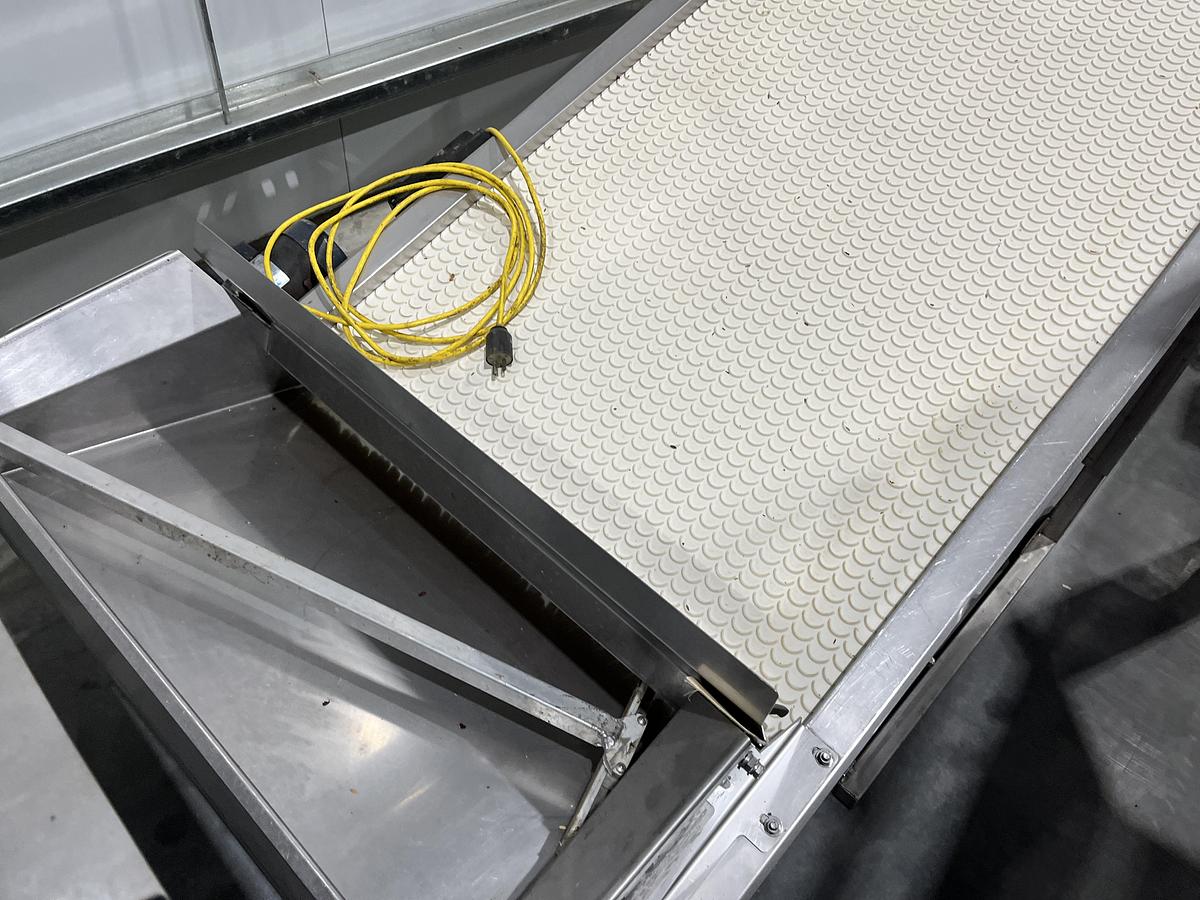 Used Scalloped Belt Incline Conveyor with Hopper