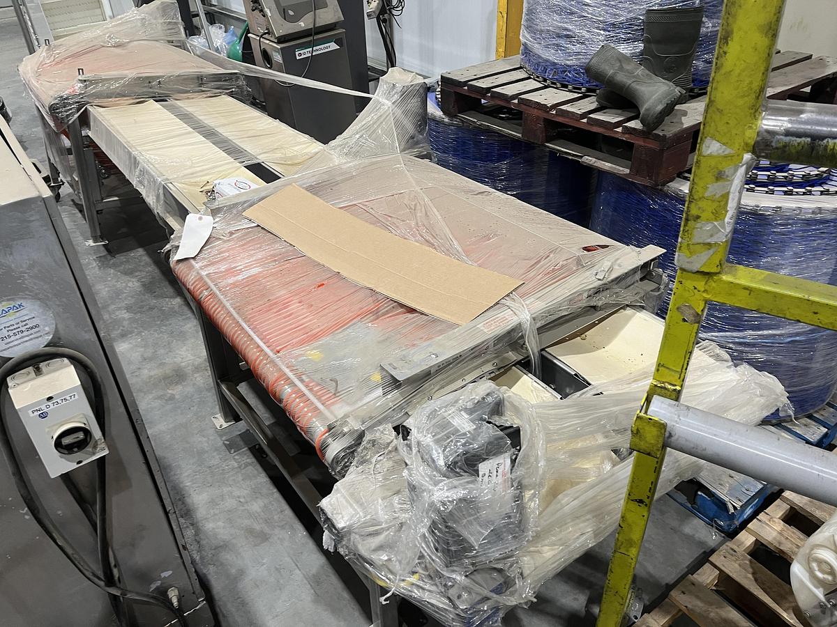 Used Berry Sizing Conveyor