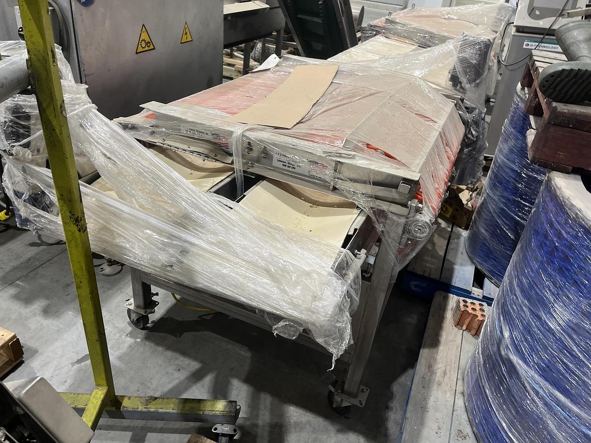 Used Berry Sizing Conveyor