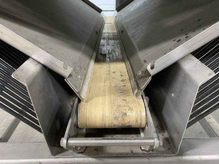 Used REM Pacific JET Optical Berry Sorter