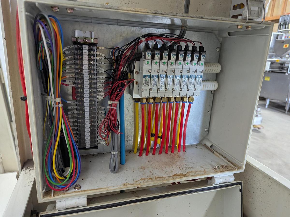 Used Dual Head Net Weigh Filler with Bucket Elevator Infeed