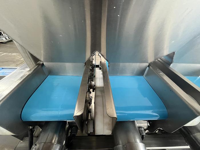 Used Andgar 10-Lane Berry Filler