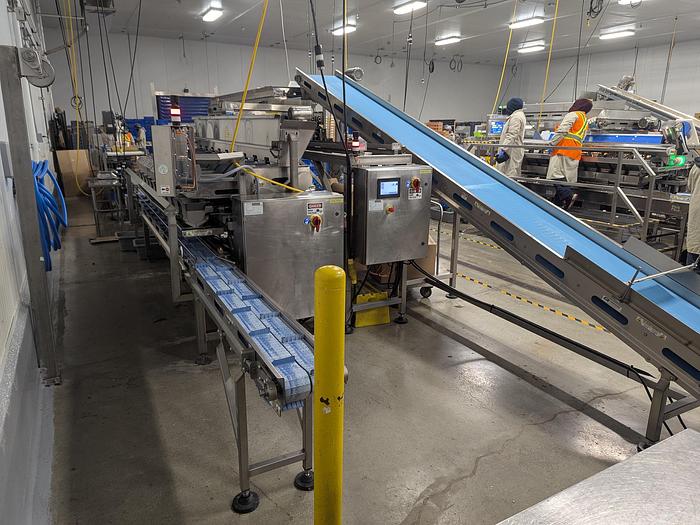 Used Andgar 10 Lane Berry Filler