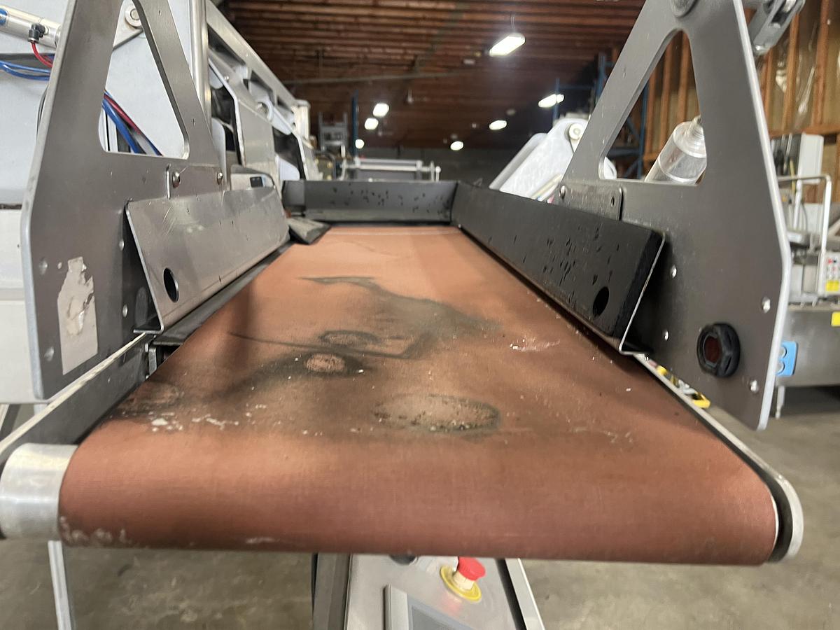 Used Hayley Manufacturing Diverting Conveyor System