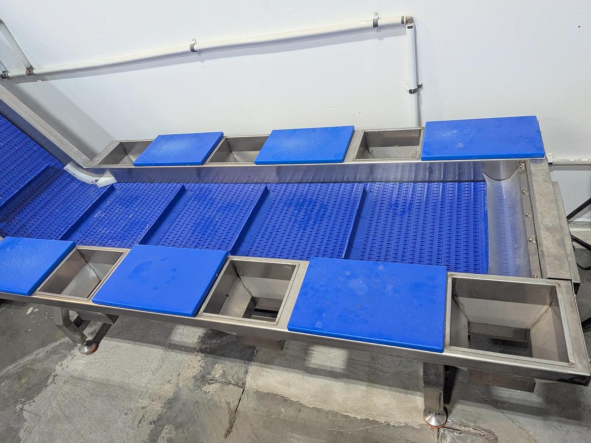 Used Incline Conveyor with Sort Stations