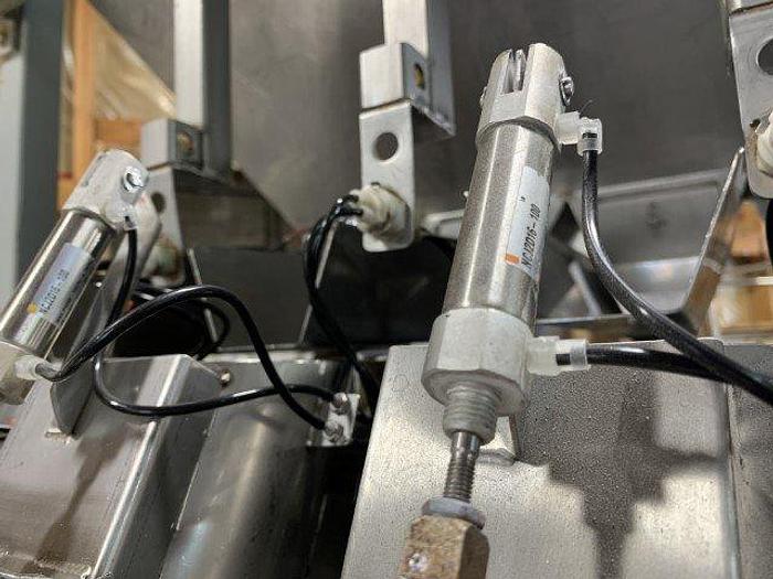 Used Actionpac 4-Lane Linear Netweigh Filler