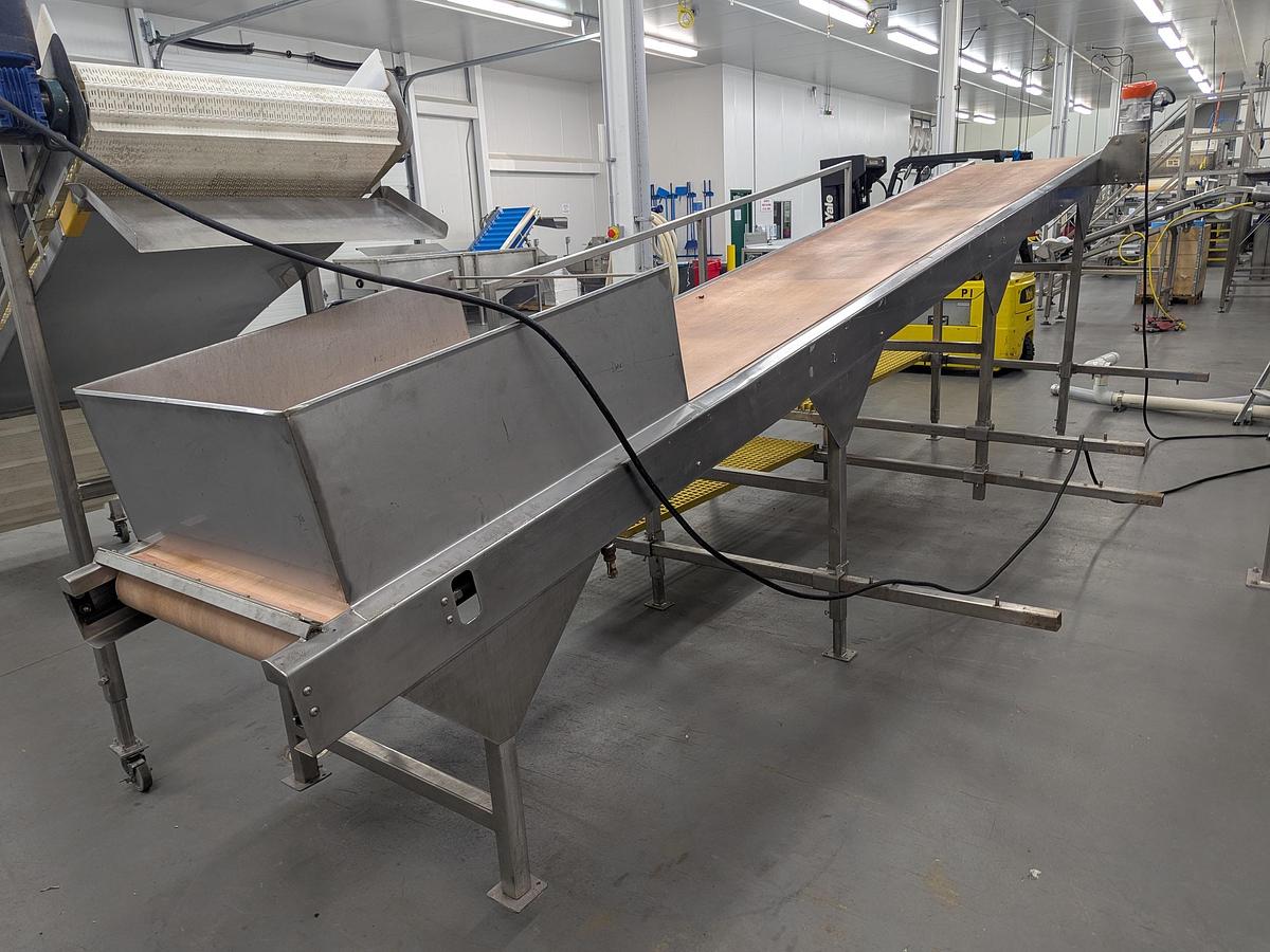 Used Sorting Conveyor