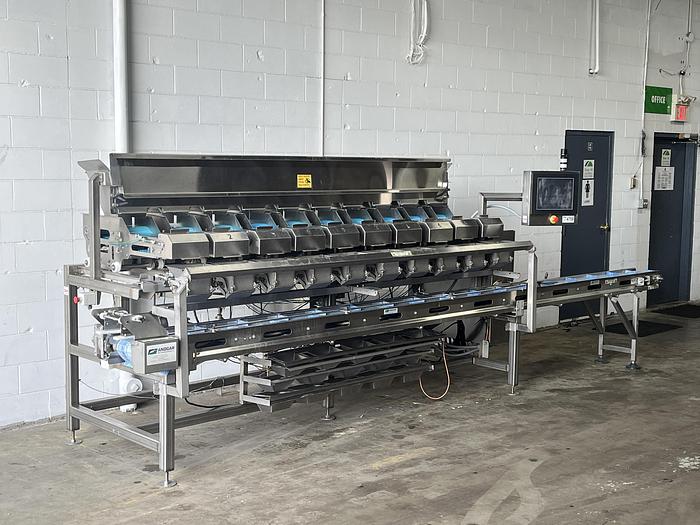 Used Andgar 10-Lane Berry Filler