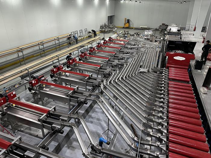 Used Red Pearl 360 Cherry Processing Machine